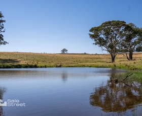 Rural / Farming commercial property for sale at 90 Convent Lane Borenore NSW 2800