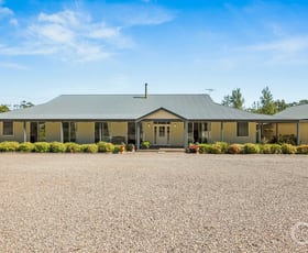 Rural / Farming commercial property for sale at 94 Mitchell Road Chandlers Hill SA 5159 Rural / Farming commercial property for sale at 94 Mitchell Road Chandlers Hill SA 5159