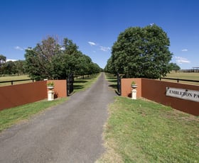 Rural / Farming commercial property sold at Embleton Park, 81 Onslow Thompson Road Calala NSW 2340