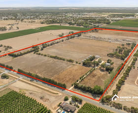 Rural / Farming commercial property for sale at 91-123 Cobram South Rd Cobram VIC 3644