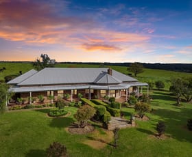 Rural / Farming commercial property for sale at 95 Craigend Road The Oaks NSW 2570