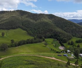 Rural / Farming commercial property for sale at 500 Lower Creek Rd Lower Creek NSW 2440