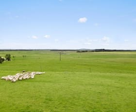 Rural / Farming commercial property for sale at 687 Mount Salt Road Mount Schank SA 5291