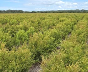 Rural / Farming commercial property for sale at 423 Teven Road Teven NSW 2478