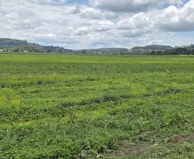 Rural / Farming commercial property for sale at 423 Teven Road Teven NSW 2478