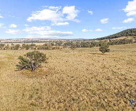 Rural / Farming commercial property for sale at 145 Cusack Road Boorowa NSW 2586