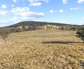 Rural / Farming commercial property for sale at 145 Cusack Road Boorowa NSW 2586 Rural / Farming commercial property for sale at 145 Cusack Road Boorowa NSW 2586