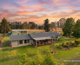 Rural / Farming commercial property for sale at 40 Jacksons Road Armidale NSW 2350