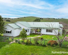 Rural / Farming commercial property for sale at 2216 Freemantle Road Freemantle NSW 2795 Rural / Farming commercial property for sale at 2216 Freemantle Road Freemantle NSW 2795