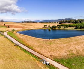 Rural / Farming commercial property for sale at 110 Trickett Road Needles TAS 7304 Rural / Farming commercial property for sale at 110 Trickett Road Needles TAS 7304