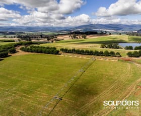 Rural / Farming commercial property for sale at 110 Trickett Road Needles TAS 7304