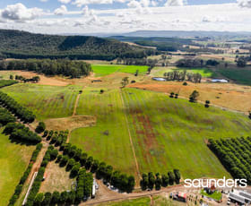 Rural / Farming commercial property for sale at 110 Trickett Road Needles TAS 7304