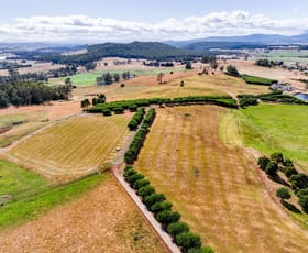 Rural / Farming commercial property for sale at 110 Trickett Road Needles TAS 7304