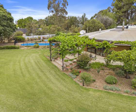 Rural / Farming commercial property for sale at 781 Healy Road Cobram East VIC 3644