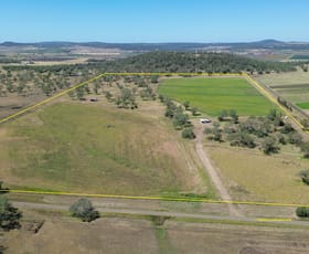 Rural / Farming commercial property for sale at 242 Ehrlich Road Linthorpe QLD 4356 Rural / Farming commercial property for sale at 242 Ehrlich Road Linthorpe QLD 4356