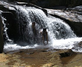 Rural / Farming commercial property sold at Taromeo QLD 4314