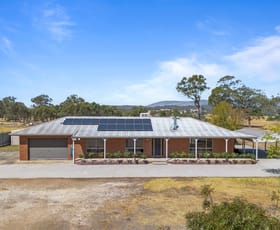 Rural / Farming commercial property for sale at 70 Ashes Bridge Road Tallarook VIC 3659