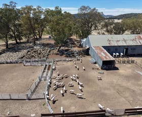 Rural / Farming commercial property for sale at Address Via Request Road Grenfell NSW 2810