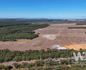 Rural / Farming commercial property for sale at Lot 4 Deep Creek Road Kalgan WA 6330 Rural / Farming commercial property for sale at Lot 4 Deep Creek Road Kalgan WA 6330