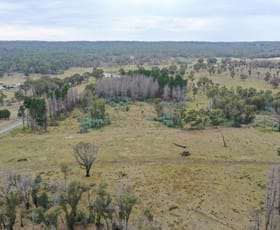 Rural / Farming commercial property for sale at 186 Old Station Creek Road Taralga NSW 2580