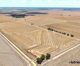 Rural / Farming commercial property for sale at 147 Southdown Road Deniliquin NSW 2710 Rural / Farming commercial property for sale at 147 Southdown Road Deniliquin NSW 2710