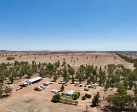 Rural / Farming commercial property for sale at 159 Noakes Road Bribbaree NSW 2594 Rural / Farming commercial property for sale at 159 Noakes Road Bribbaree NSW 2594