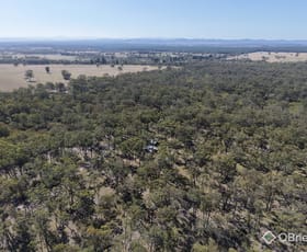 Rural / Farming commercial property for sale at Sinclairs Road Munro VIC 3862