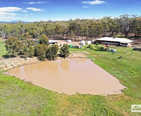 Rural / Farming commercial property for sale at 912 Heathcote-Rochester Road Heathcote VIC 3523