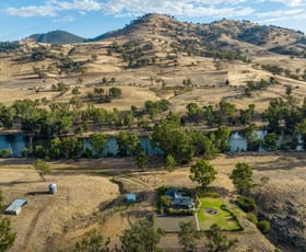 Rural / Farming commercial property for sale at 1700 Bundarbo Road Jugiong NSW 2726