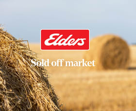 Rural / Farming commercial property sold at 411 Echuca- Mitiamo Road Echuca West VIC 3564 Rural / Farming commercial property sold at 411 Echuca- Mitiamo Road Echuca West VIC 3564