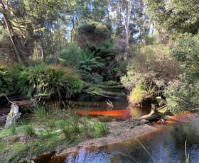 Rural / Farming commercial property for sale at 306 Coopers Road Rocky Cape TAS 7321