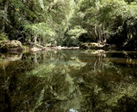 Rural / Farming commercial property for sale at Kangaroo Valley NSW 2577 Rural / Farming commercial property for sale at Kangaroo Valley NSW 2577