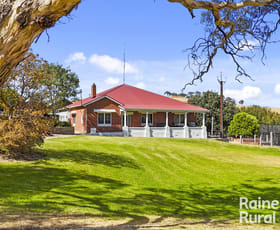 Rural / Farming commercial property for sale at 72 Wild Dog Creek Road Myponga SA 5202 Rural / Farming commercial property for sale at 72 Wild Dog Creek Road Myponga SA 5202