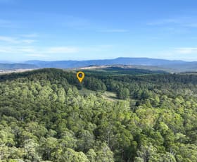 Rural / Farming commercial property for sale at 12F & 12G Minchins Track Bonang VIC 3888 Rural / Farming commercial property for sale at 12F & 12G Minchins Track Bonang VIC 3888