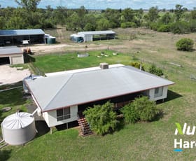 Rural / Farming commercial property for sale at 7 Mullers Road Chinchilla QLD 4413 Rural / Farming commercial property for sale at 7 Mullers Road Chinchilla QLD 4413