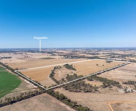 Rural / Farming commercial property for sale at 96 Odwyer Road Tabilk VIC 3607