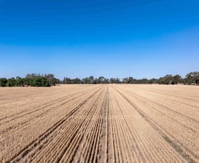 Rural / Farming commercial property for sale at 96 Odwyer Road Tabilk VIC 3607