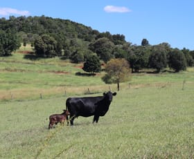 Rural / Farming commercial property for sale at Lot 385 Hoffmanns Road Wondai QLD 4606