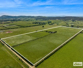 Rural / Farming commercial property for sale at 348 Tickawarra Road Romsey VIC 3434 Rural / Farming commercial property for sale at 348 Tickawarra Road Romsey VIC 3434