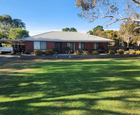 Rural / Farming commercial property for sale at 485 Freak Road Coonalpyn SA 5265 Rural / Farming commercial property for sale at 485 Freak Road Coonalpyn SA 5265