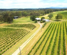 Rural / Farming commercial property for sale at 266 Deasys Road Pokolbin NSW 2320