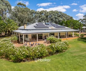 Rural / Farming commercial property for sale at 62 Panizza Road Crooked Brook WA 6236 Rural / Farming commercial property for sale at 62 Panizza Road Crooked Brook WA 6236