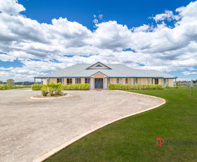 Rural / Farming commercial property for sale at 91 Daley Close The Oaks NSW 2570 Rural / Farming commercial property for sale at 91 Daley Close The Oaks NSW 2570