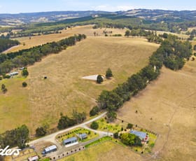Rural / Farming commercial property for sale at 235 Lays Road Willung South VIC 3847 Rural / Farming commercial property for sale at 235 Lays Road Willung South VIC 3847