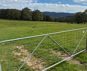 Rural / Farming commercial property for sale at 102 Kain Cross Road Braidwood NSW 2622