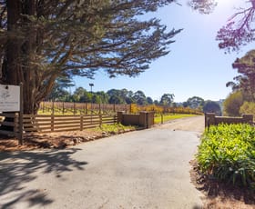 Rural / Farming commercial property for sale at 206 Bittern-Dromana Road Merricks North VIC 3926