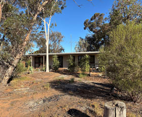 Rural / Farming commercial property for sale at 5825 Robinvale-Sea Lake Road Manangatang VIC 3546 Rural / Farming commercial property for sale at 5825 Robinvale-Sea Lake Road Manangatang VIC 3546