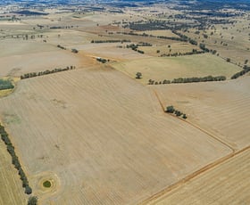 Rural / Farming commercial property for sale at 3818 Lachlan Valley Way Godfreys Creek NSW 2586 Rural / Farming commercial property for sale at 3818 Lachlan Valley Way Godfreys Creek NSW 2586