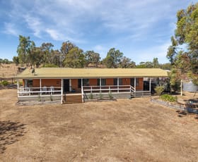 Rural / Farming commercial property for sale at 51 Chapmans Lane Heathcote VIC 3523 Rural / Farming commercial property for sale at 51 Chapmans Lane Heathcote VIC 3523