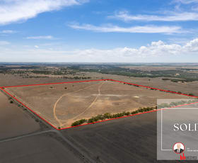 Rural / Farming commercial property sold at 344 Rochow Road Black Hill SA 5353